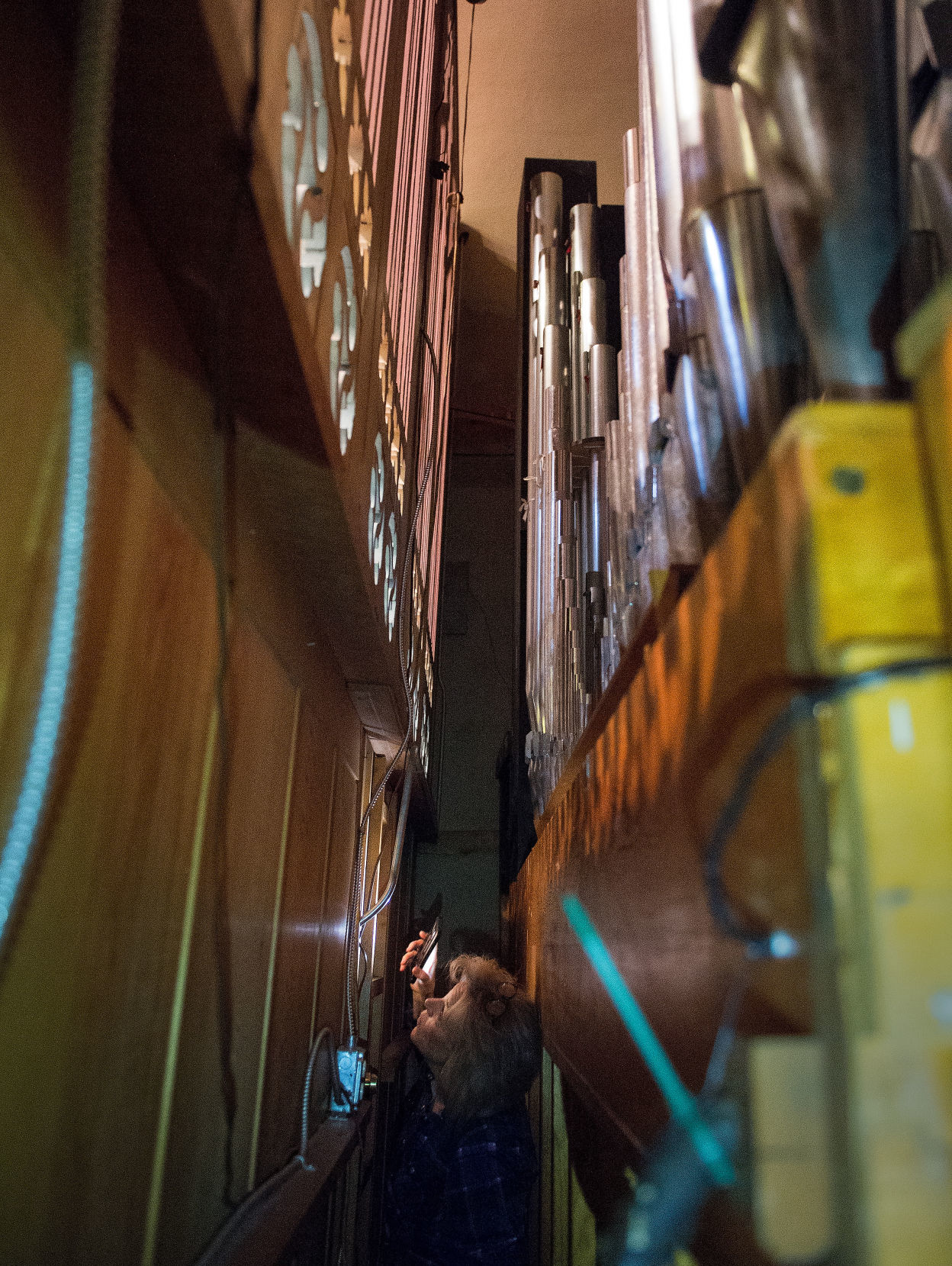 The Organist